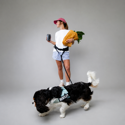 HandsFree™ Dog Leash